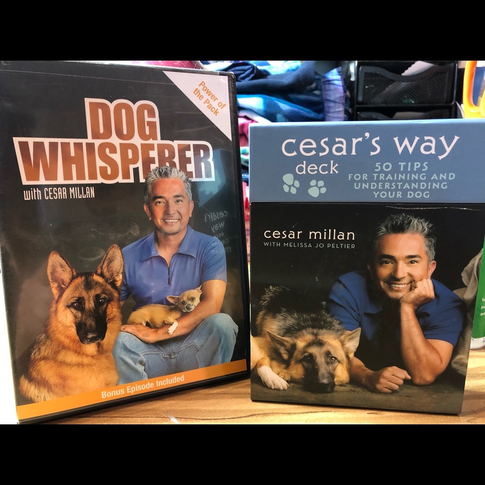 Cesar Millan-Power of the pack DVD +card